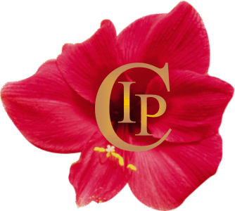 CIP Logo